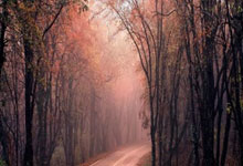 图拉姆：父亲和弟弟是我的骄傲；世界前十中锋？我确信自己是.